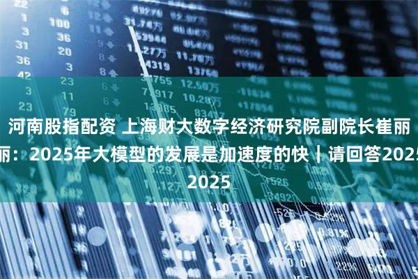 河南股指配资 上海财大数字经济研究院副院长崔丽丽：2025年大模型的发展是加速度的快｜请回答2025