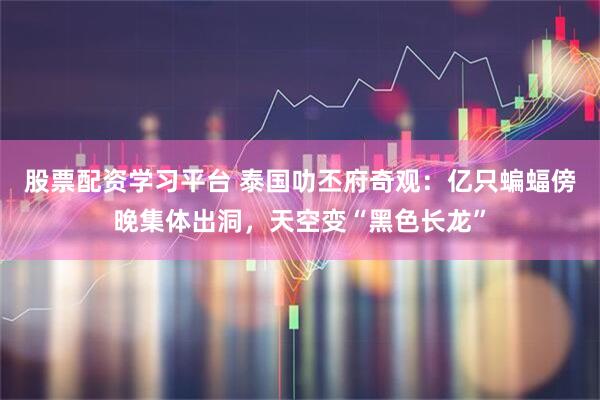 股票配资学习平台 泰国叻丕府奇观：亿只蝙蝠傍晚集体出洞，天空变“黑色长龙”